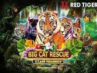 Big Cat Rescue Megaways™ game screenshot